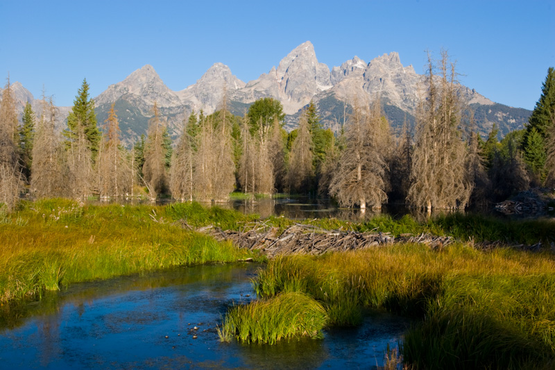 The Teton Range Above Beaver Dam